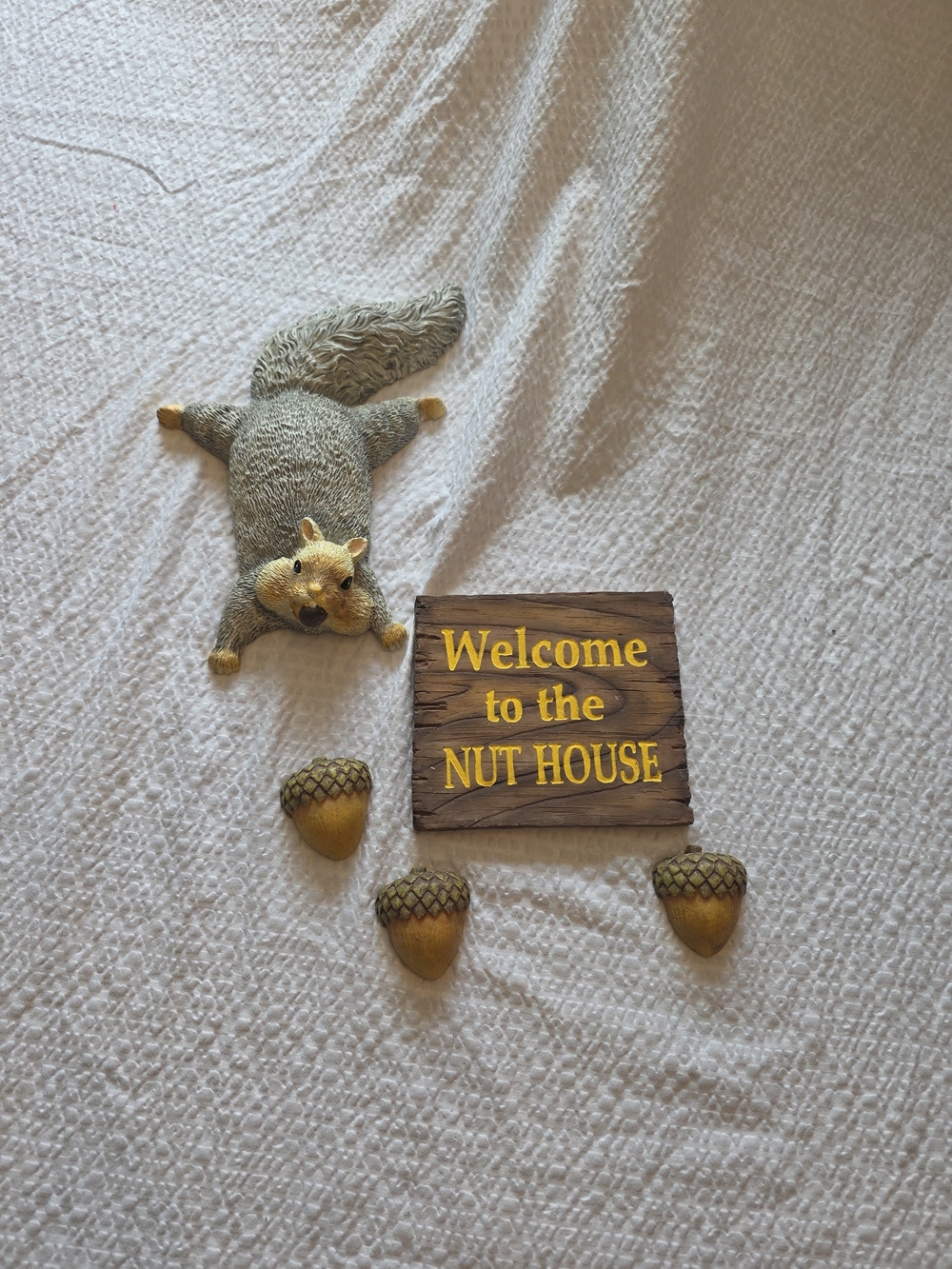 Welcome to the Nut House Squirrel Wall Decor - Gray and Brown
